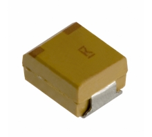T496B106K016BH61107505