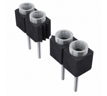 SS-110-TT-2-N