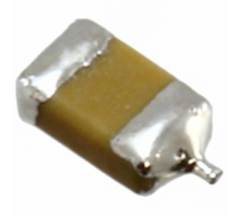F950J686MSAAM1Q