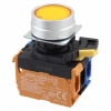 A22NL-RNM-TYA-G102-YC Image